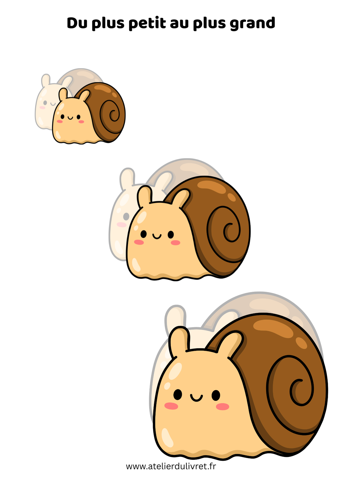 Fiche - Les tailles (escargots)