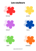 Fiche - Les couleurs (fleurs)