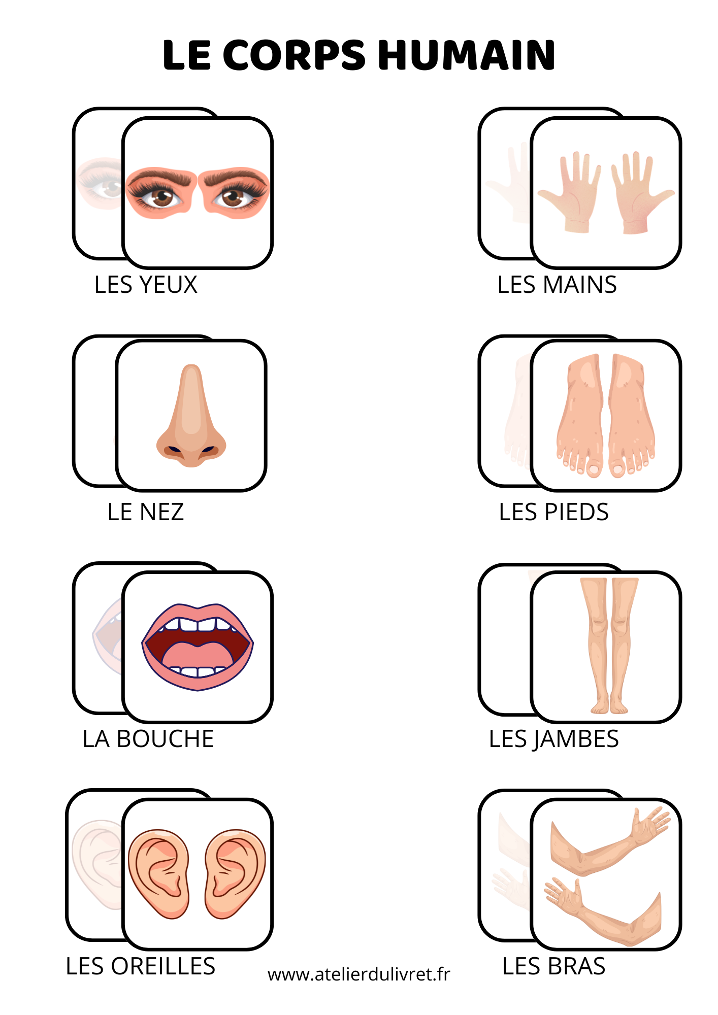 Fiche - Le corps humain