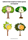 Fiche - Associe le fruit à son arbre