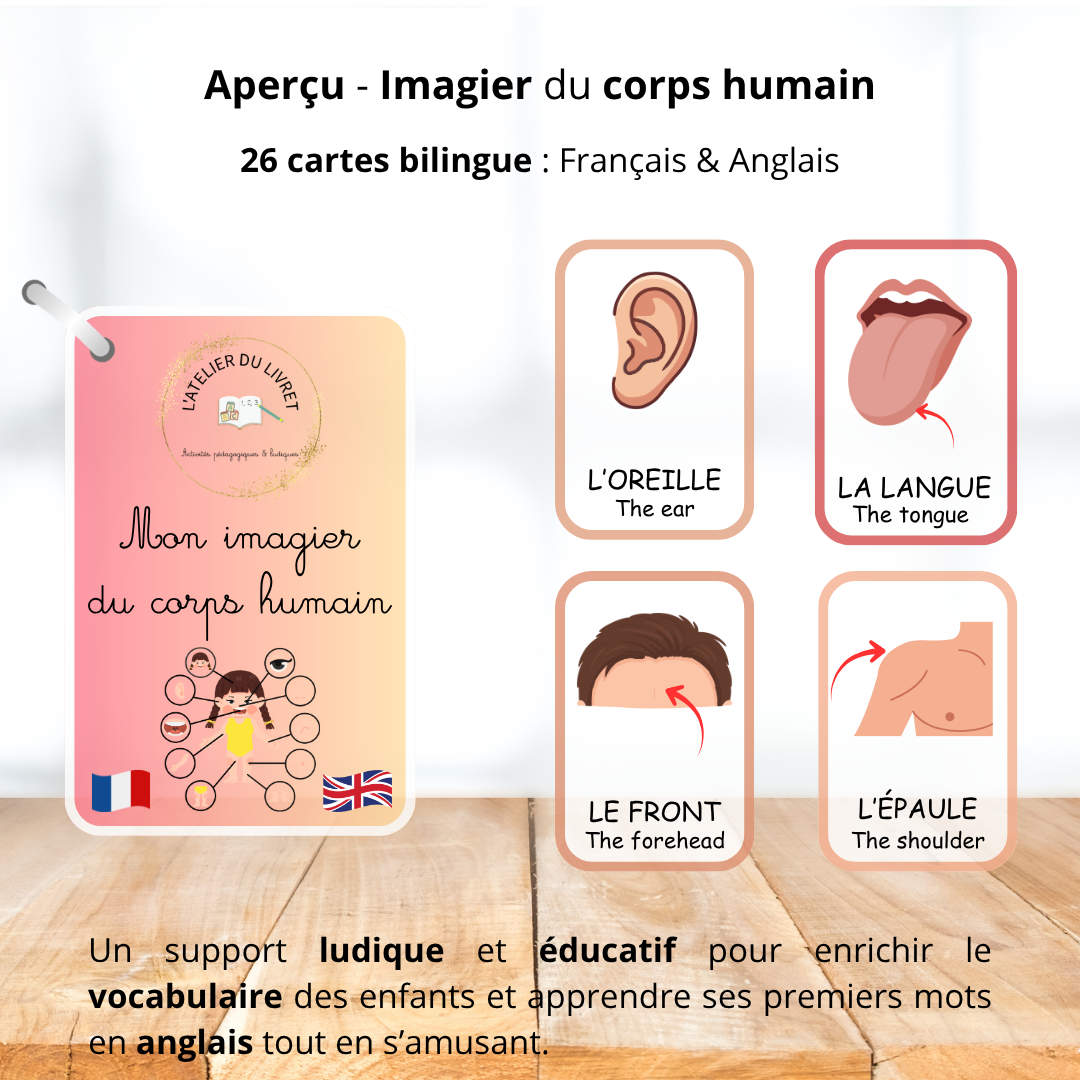 Imagier bilingue - Le corps humain (Français / Anglais)