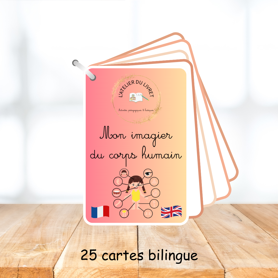 Imagier bilingue - Le corps humain (Français / Anglais)