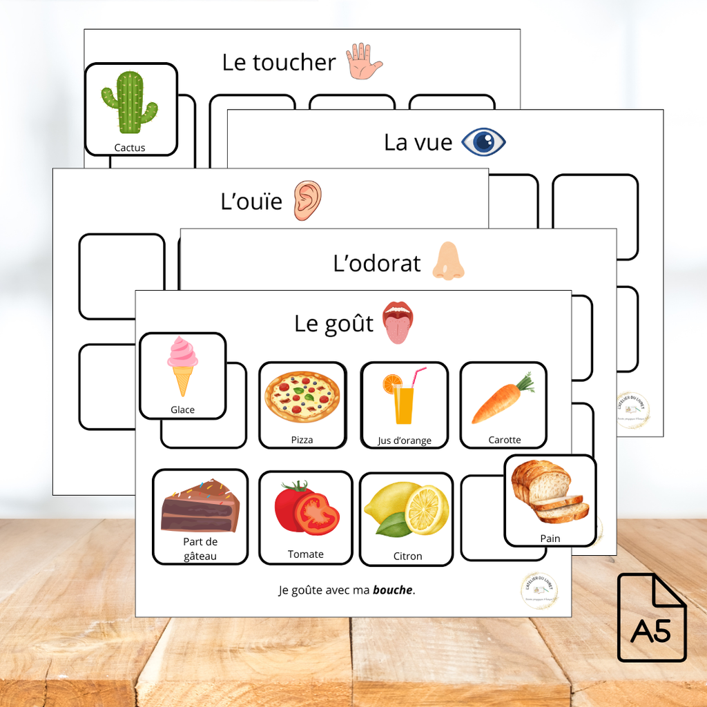 Jeu - Loto des 5 sens