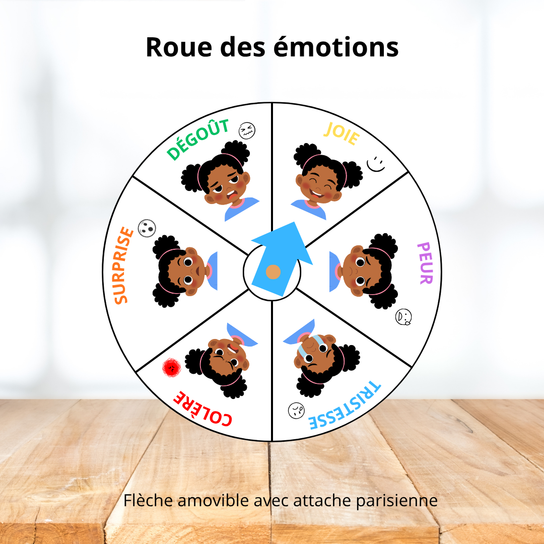 Affichage - Roue des émotions