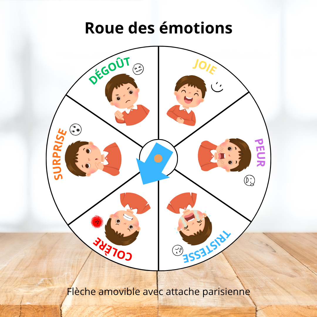 Affichage - Roue des émotions