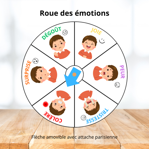 Affichage - Roue des émotions