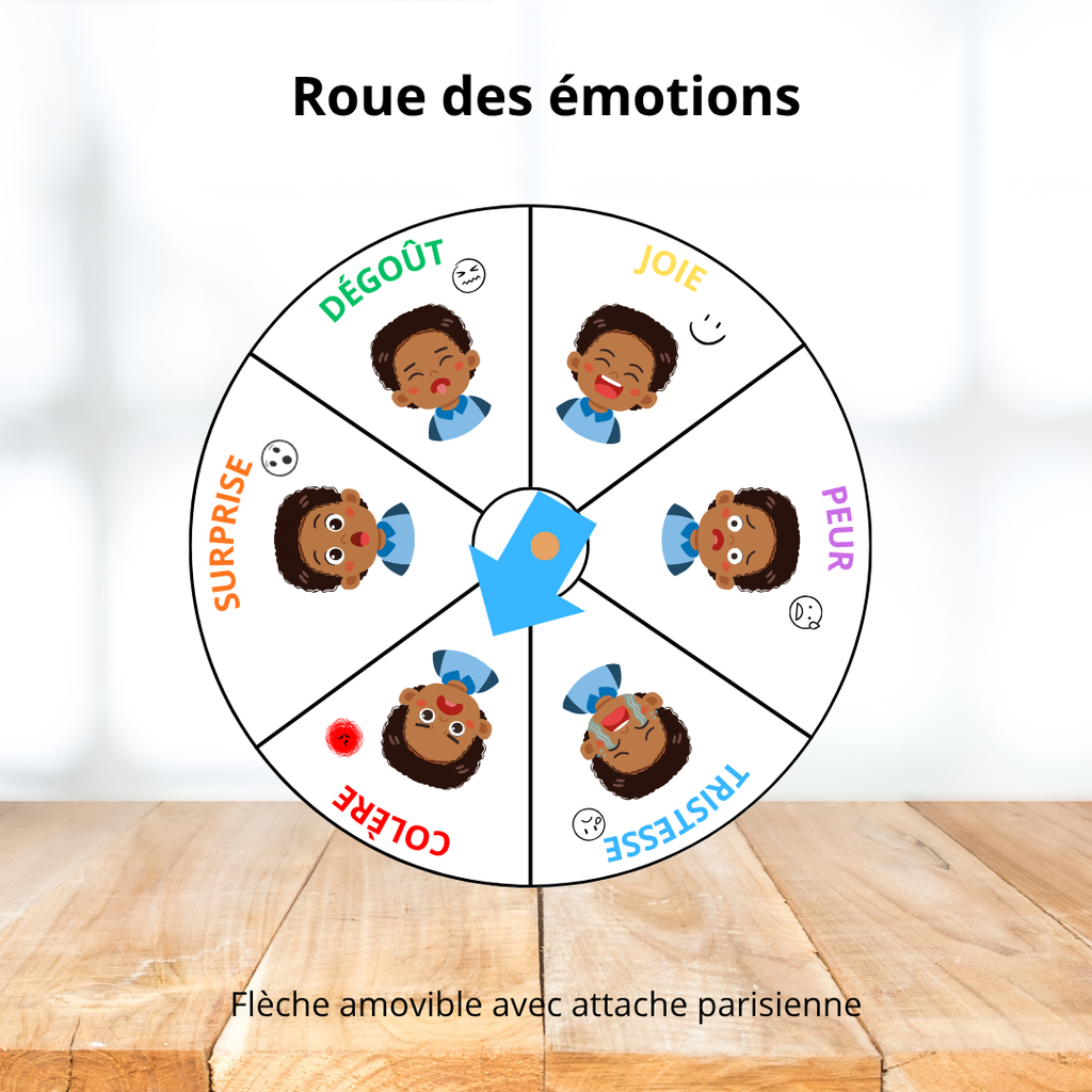 Affichage - Roue des émotions