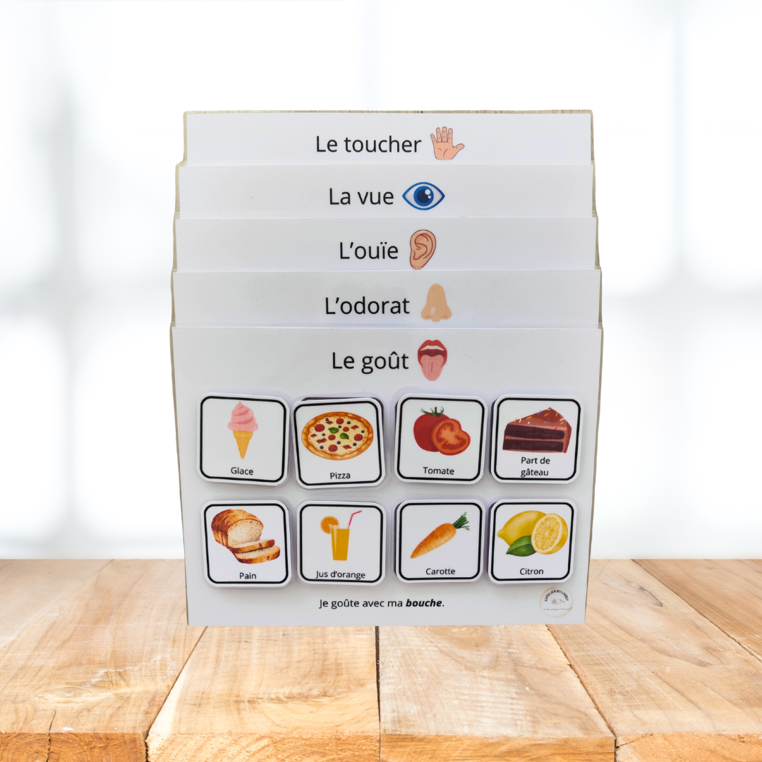 Jeu éducatif - loto des 5 sens